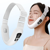 V Face Beauty Device